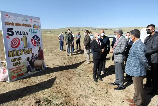 16 besiciye 1600 küçükbaş hayvan desteği sağlandı 16 besiciye 1600 küçükbaş hayvan desteği sağlandı