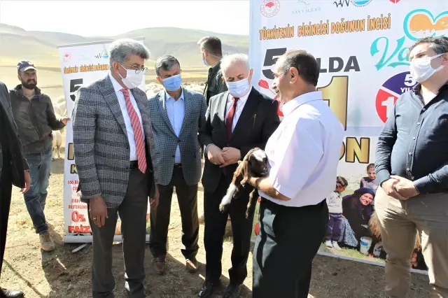16 besiciye 1600 küçükbaş hayvan desteği sağlandı 16 besiciye 1600 küçükbaş hayvan desteği sağlandı