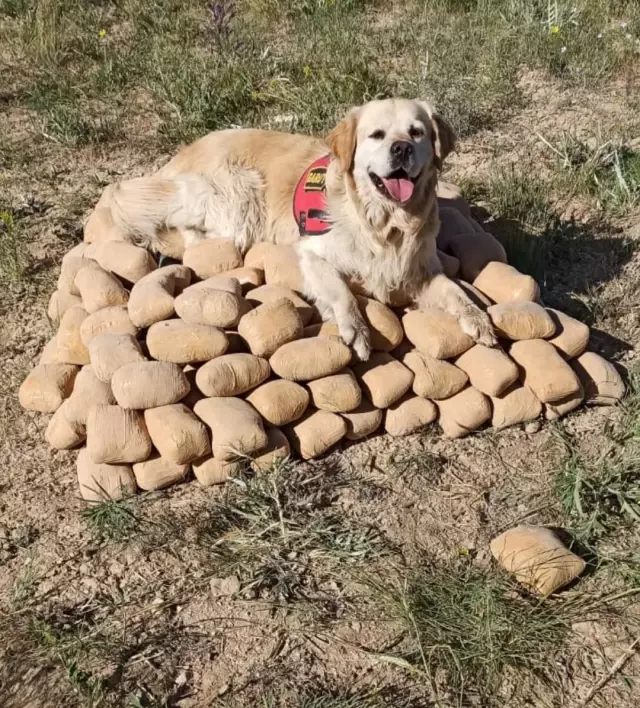 Van'da çuvallar içerisinde araziye gizlenmiş 233 kilo 506 gram eroin bulundu Van'da çuvallar içerisinde araziye gizlenmiş 233 kilo 506 gram eroin bulundu
