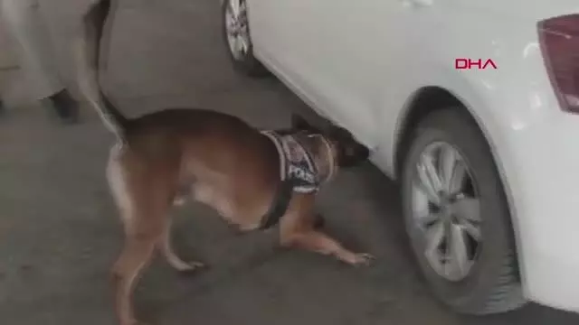 VAN OTOMOBİLDEKİ 10 KİLO UYUŞTURUCUYU 'BOBİ' BULDU VAN OTOMOBİLDEKİ 10 KİLO UYUŞTURUCUYU 'BOBİ' BULDU
