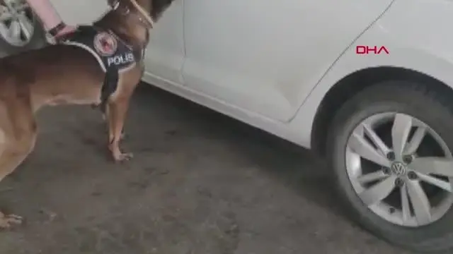 VAN OTOMOBİLDEKİ 10 KİLO UYUŞTURUCUYU 'BOBİ' BULDU VAN OTOMOBİLDEKİ 10 KİLO UYUŞTURUCUYU 'BOBİ' BULDU