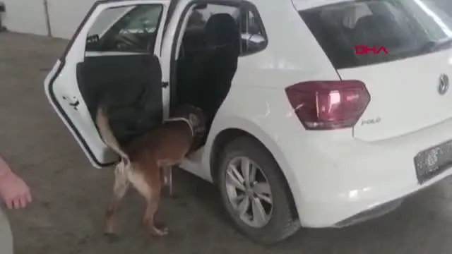 VAN OTOMOBİLDEKİ 10 KİLO UYUŞTURUCUYU 'BOBİ' BULDU VAN OTOMOBİLDEKİ 10 KİLO UYUŞTURUCUYU 'BOBİ' BULDU