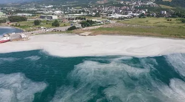 Yalova'da deniz yeniden müsilajla kaplandı Yalova'da deniz yeniden müsilajla kaplandı