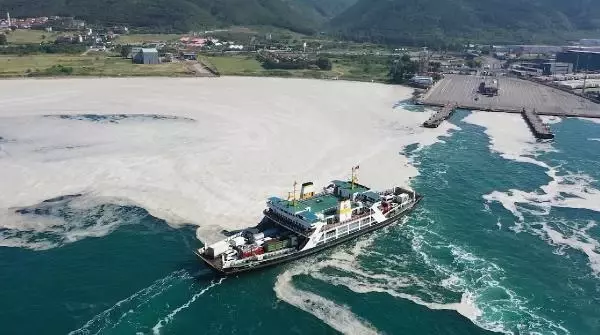 Yalova'da deniz yeniden müsilajla kaplandı Yalova'da deniz yeniden müsilajla kaplandı