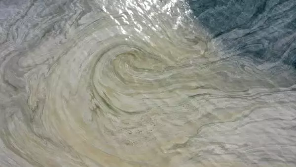 Yalova'da deniz yeniden müsilajla kaplandı Yalova'da deniz yeniden müsilajla kaplandı