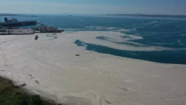 Yalova'da deniz yeniden müsilajla kaplandı (2) Yalova'da deniz yeniden müsilajla kaplandı (2)