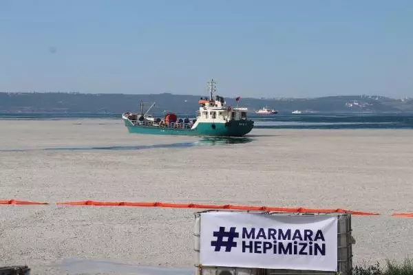 Yalova'da deniz yeniden müsilajla kaplandı (2) Yalova'da deniz yeniden müsilajla kaplandı (2)