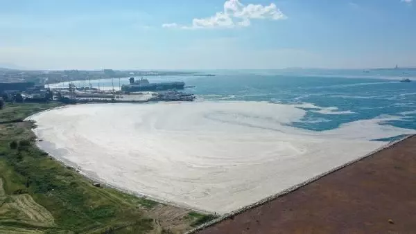 Yalova'da deniz yeniden müsilajla kaplandı Yalova'da deniz yeniden müsilajla kaplandı