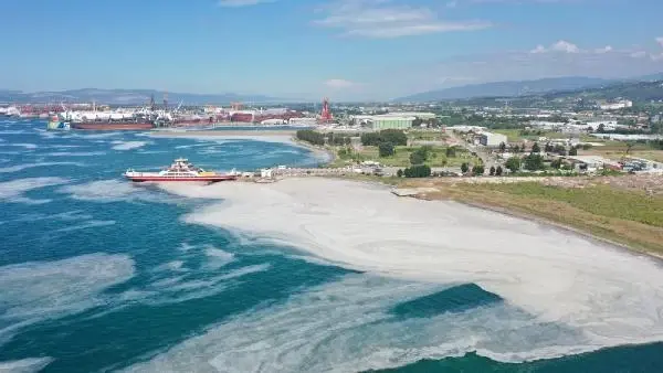 Yalova'da deniz yeniden müsilajla kaplandı Yalova'da deniz yeniden müsilajla kaplandı