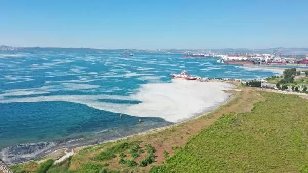 Yalova'da deniz yeniden müsilajla kaplandı Yalova'da deniz yeniden müsilajla kaplandı