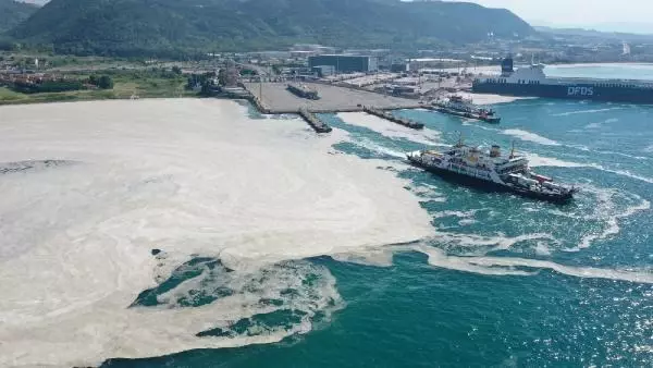 Yalova'da deniz yeniden müsilajla kaplandı Yalova'da deniz yeniden müsilajla kaplandı
