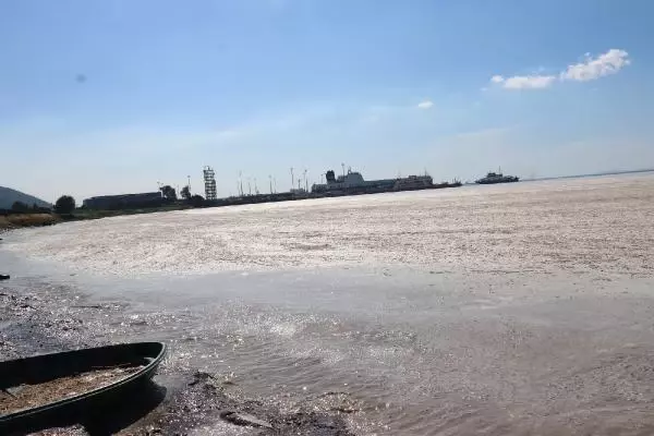 Yalova'da deniz yeniden müsilajla kaplandı Yalova'da deniz yeniden müsilajla kaplandı
