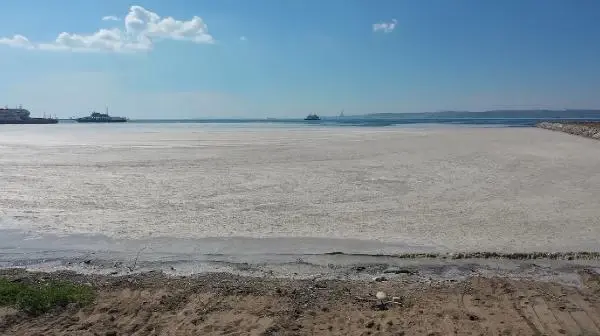 Yalova'da deniz yeniden müsilajla kaplandı Yalova'da deniz yeniden müsilajla kaplandı