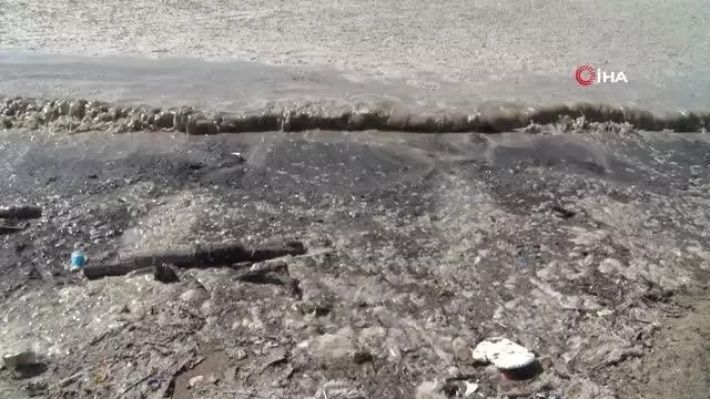 Yalova kıyılarında müsilaj görülmeye devam ediyor Yalova kıyılarında müsilaj görülmeye devam ediyor