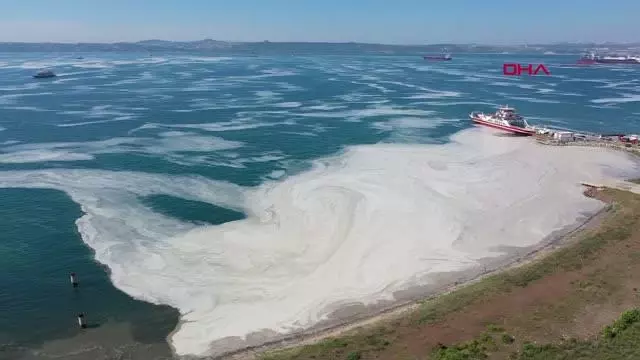 YALOVA SAHİLLERİ, YENİDEN DENİZ SALYASIYLA KAPLANDI YALOVA SAHİLLERİ, YENİDEN DENİZ SALYASIYLA KAPLANDI