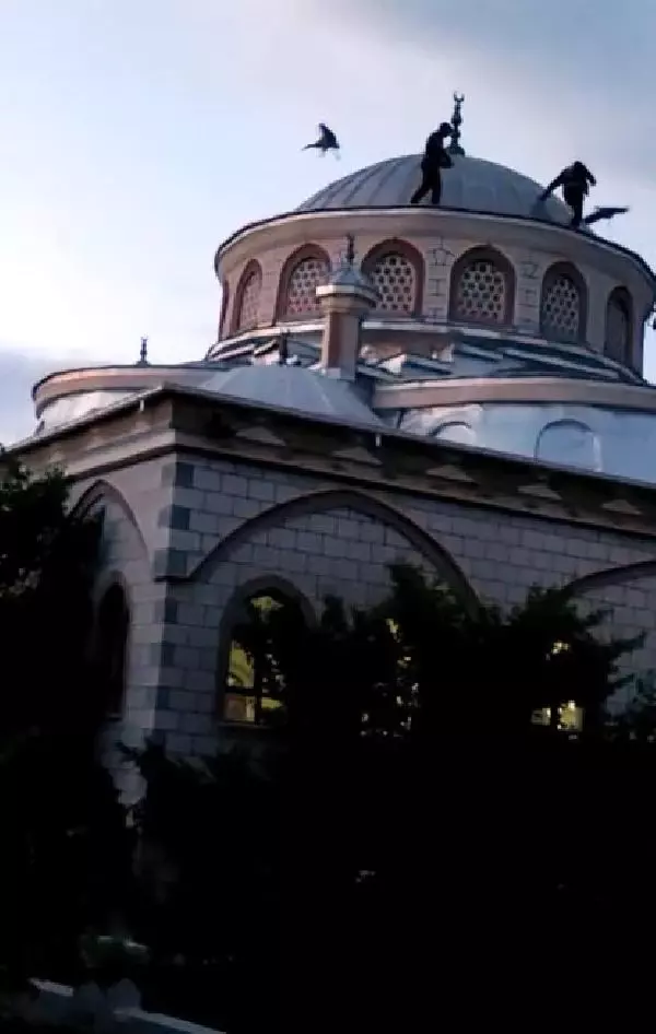 YAVRU LEYLEK, DÜŞTÜĞÜ CAMİ KUBBESİNDEKİ YUVASINA BIRAKILDI YAVRU LEYLEK, DÜŞTÜĞÜ CAMİ KUBBESİNDEKİ YUVASINA BIRAKILDI