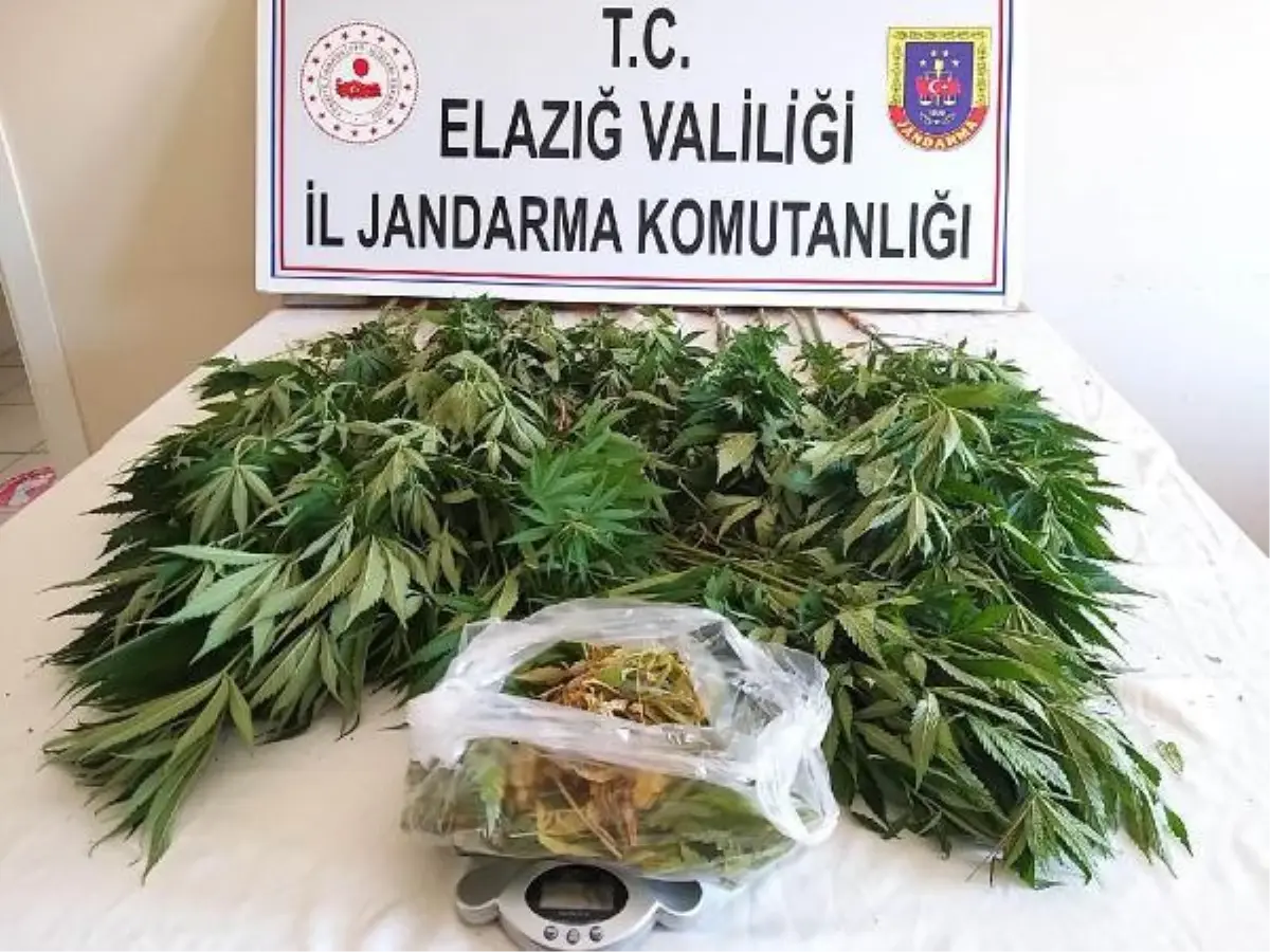 17 kilo kubar esrar ele geçti; 3 kişi gözaltında