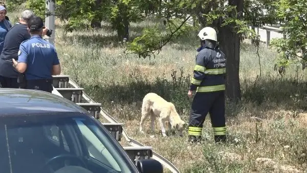 Son dakika! ESKİŞEHİR - 3 aracın karıştığı zincirleme trafik kazasında 8 kişi yaralandı