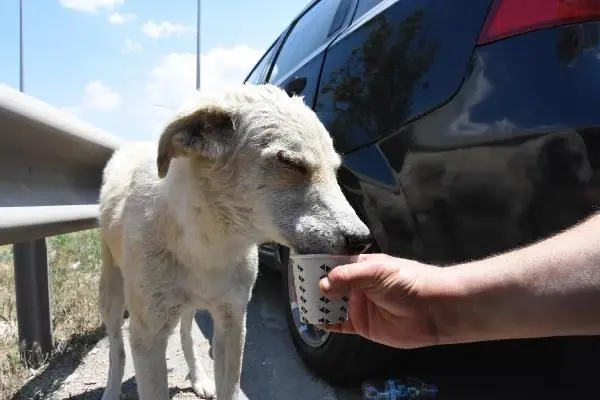 Son dakika! ESKİŞEHİR - 3 aracın karıştığı zincirleme trafik kazasında 8 kişi yaralandı