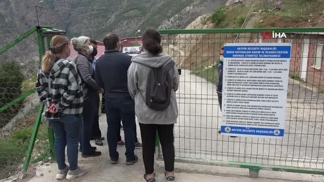 Artvin'de hayvan severler sokak hayvanlarının sesi oldu Artvin'de hayvan severler sokak hayvanlarının sesi oldu