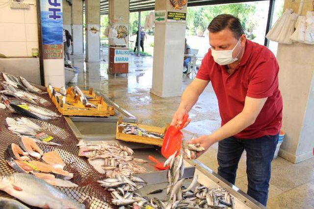 balik pazarina gelenler marmara baligi mi diy 3 14196895 o