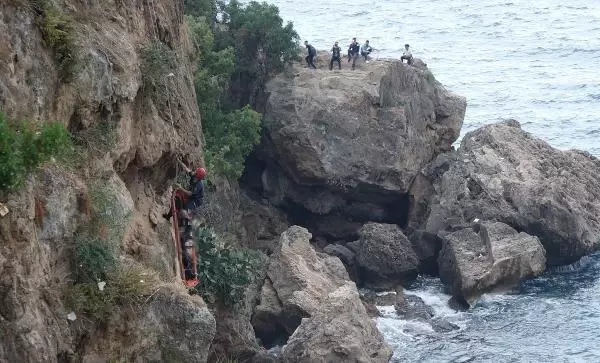 Tepki çeken cansız beden görme yarışı! Ekipler uyardı, kimse umursamadı