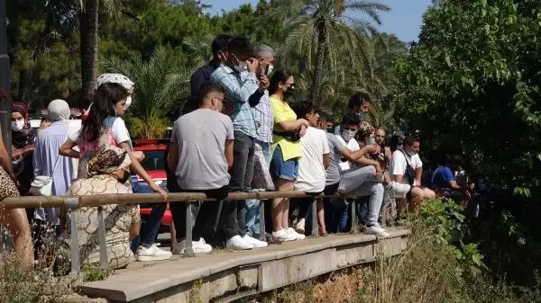 Tepki çeken cansız beden görme yarışı! Ekipler uyardı, kimse umursamadı