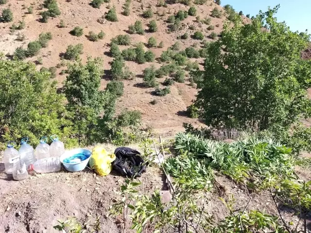 Elazığ'da 17 kilogram kubar esrar ve 41 kök Hint keneviri ele geçirildi