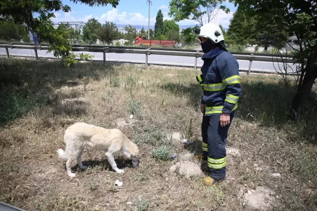 Son dakika! ESKİŞEHİR - 3 aracın karıştığı zincirleme trafik kazasında 8 kişi yaralandı