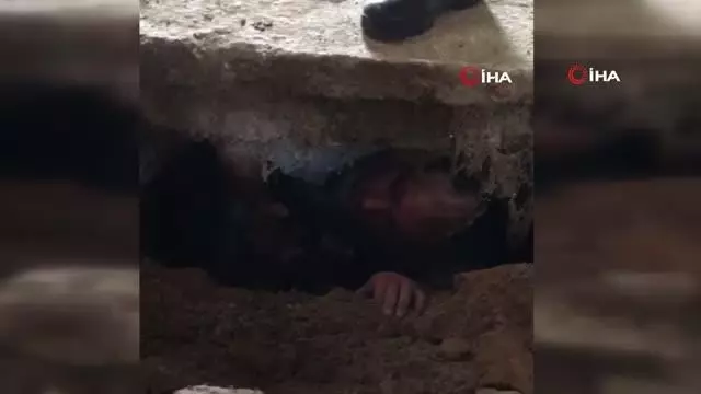 Hapis cezasından kaçtı, fosseptiğe saklandı Hapis cezasından kaçtı, fosseptiğe saklandı