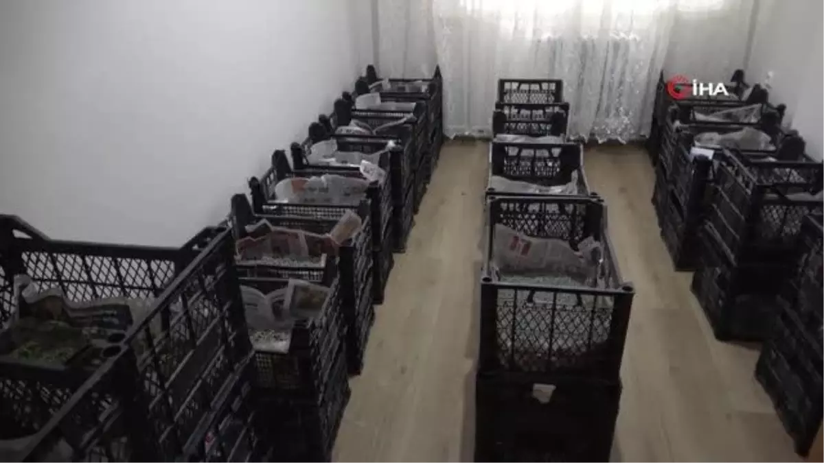 Hobi olarak ipek böceği yetiştirmeye başladılar, meslek sahibi oldular