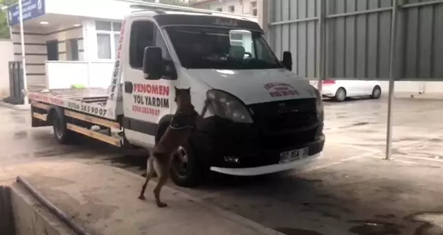 Kadir Şeker'in kurtarmaya çalıştığı Ayşe Dırla'dan sonra kız kardeşi de eroinle yakalandı