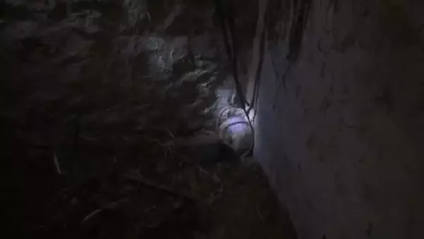 Kuyuya sıkışan porsuk kurtarıldı Kuyuya sıkışan porsuk kurtarıldı