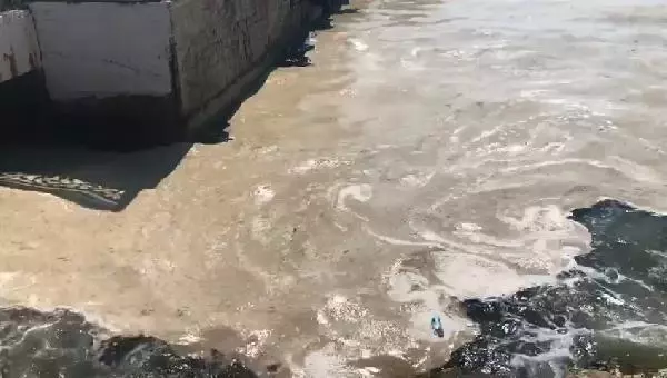 Müsilaj yeniden Gemlik Körfezi'nde Müsilaj yeniden Gemlik Körfezi'nde