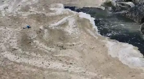 Müsilaj yeniden Gemlik Körfezi'nde Müsilaj yeniden Gemlik Körfezi'nde