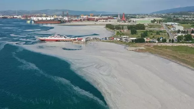 Karar Resmi Gazete'de! Meclis'te deniz salyasına yönelik bir araştırma komisyonu kurulacak Karar Resmi Gazete'de! Meclis'te deniz salyasına yönelik bir araştırma komisyonu kurulacak
