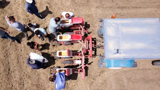 Tarsus Belediyesi, bu kez de yerli tohumla soya fasulyesi ekti Tarsus Belediyesi, bu kez de yerli tohumla soya fasulyesi ekti