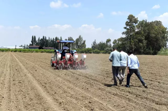 Tarsus Belediyesi, bu kez de yerli tohumla soya fasulyesi ekti Tarsus Belediyesi, bu kez de yerli tohumla soya fasulyesi ekti