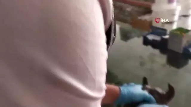 Adana'da kaçakçılık operasyonu Adana'da kaçakçılık operasyonu