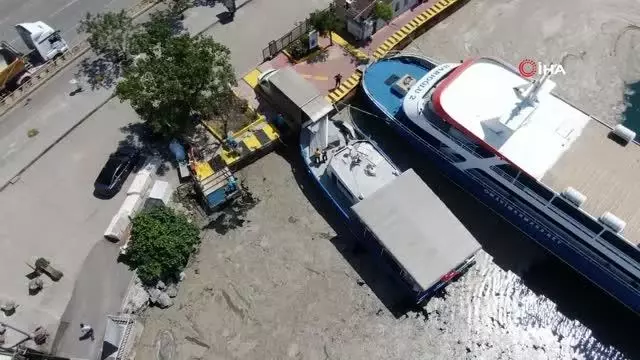 Bostancı'da müsilaj temizliği devam ediyor Bostancı'da müsilaj temizliği devam ediyor