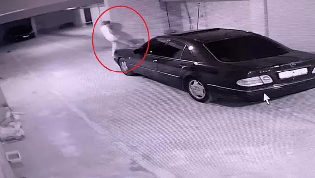 Bunu yapan bir akademisyen! Garaja sığınan köpeklere böyle eziyet etti Bunu yapan bir akademisyen! Garaja sığınan köpeklere böyle eziyet etti