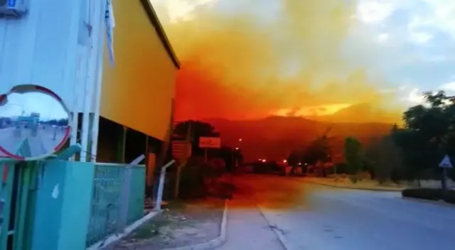Fabrikanın kimyasal madde tankından sızıp havayla karışan nitrik asit gökyüzünü turuncuya boyandı Fabrikanın kimyasal madde tankından sızıp havayla karışan nitrik asit gökyüzünü turuncuya boyandı