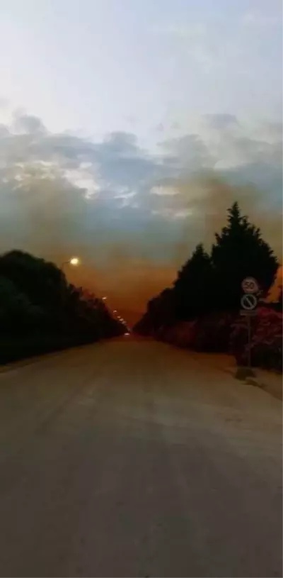 Fabrikadan sızan kimyasal madde gökyüzünü turuncuya boyadı