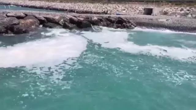 Hatay sahilinde müsilaj paniği! Korkulan olmadı Hatay sahilinde müsilaj paniği! Korkulan olmadı