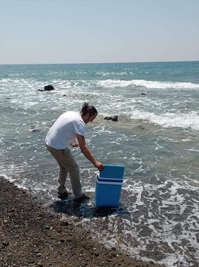 Hatay sahilinde müsilaj paniği! Korkulan olmadı Hatay sahilinde müsilaj paniği! Korkulan olmadı