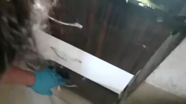 Son dakika haber! Kaçakçılık operasyonlarında 10 şüpheli yakalandı Son dakika haber! Kaçakçılık operasyonlarında 10 şüpheli yakalandı