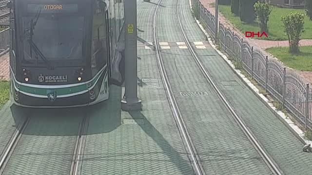 kocaeli tramvayi durdurup kaplumbagayi yolun 2 14197987 o