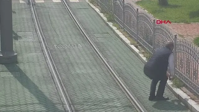 KOCAELİ TRAMVAYI DURDURUP, KAPLUMBAĞAYI YOLUN DIŞINA BIRAKTI