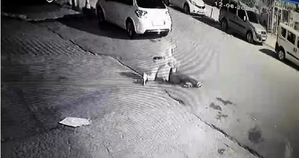 SOKAK ORTASINDA BIÇAKLANMA ANI GÜVENLİK KAMERASINDA SOKAK ORTASINDA BIÇAKLANMA ANI GÜVENLİK KAMERASINDA