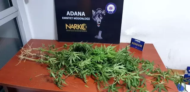 Adana'da bir haftada uyuşturucuya 122 gözaltı